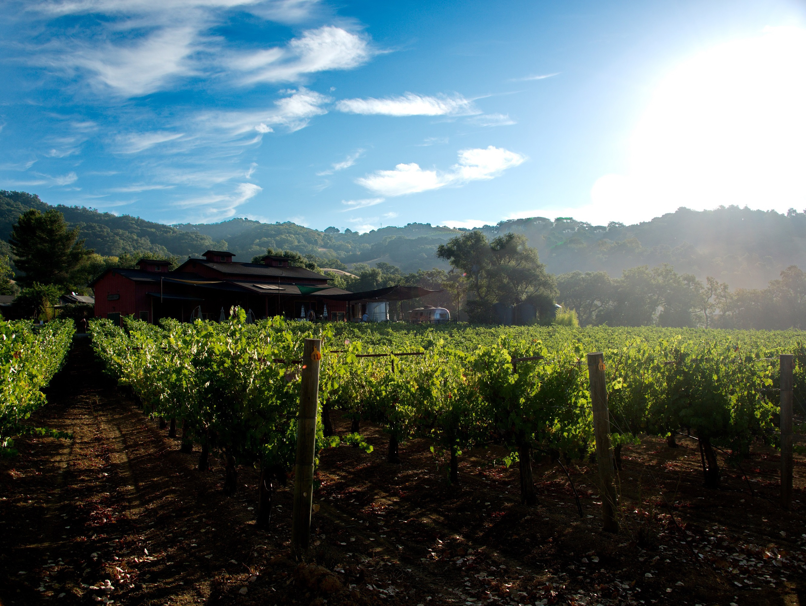Wineries of Santa Clara Valley (Images of America)