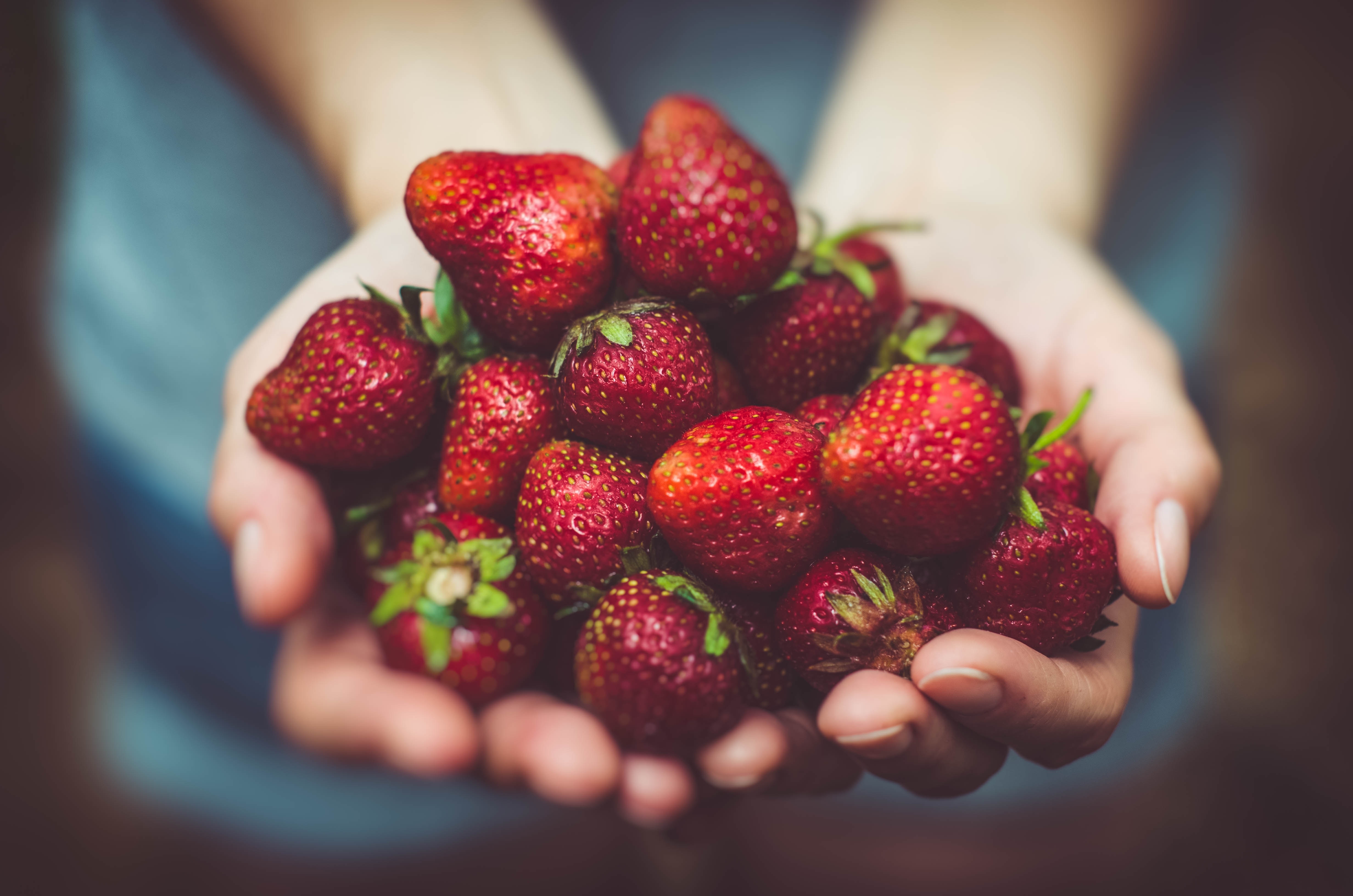 photo of strawberries in hand 