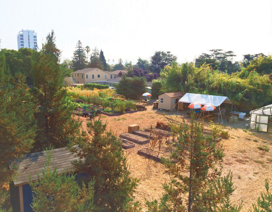 landscape of Taylor Street Farm in San Jose 
