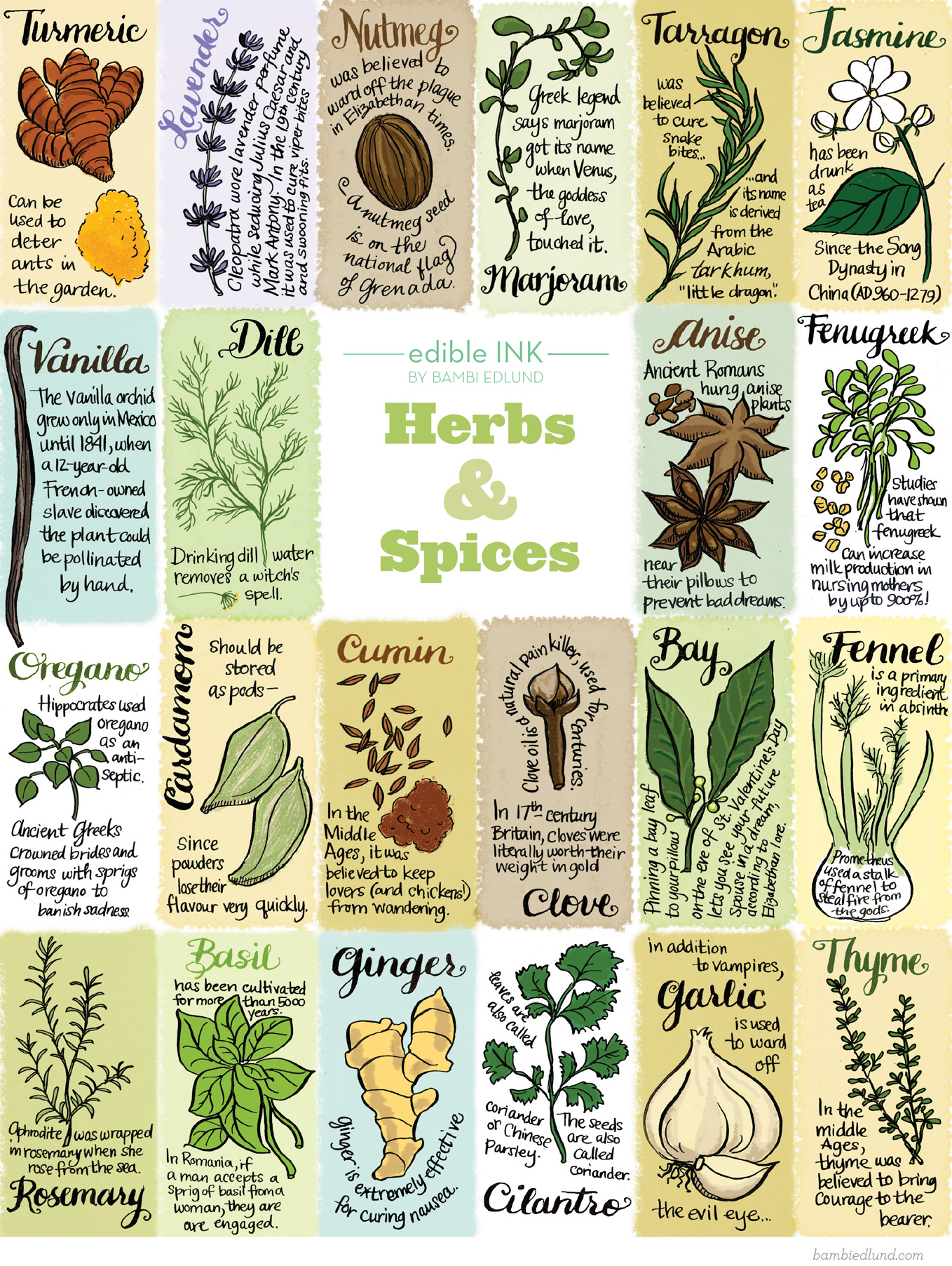 Herbs and Spices : Fun Facts (Infographic) | Edible Ink | Edible ...