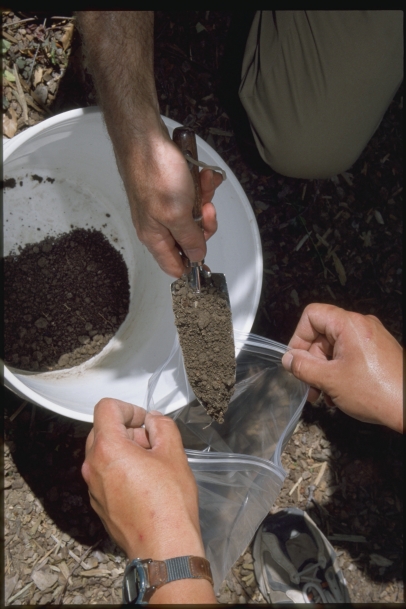 Taking a composite soil sample