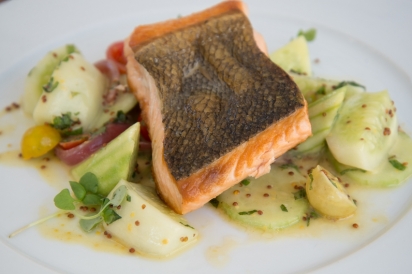 Cooked Salmon atop a plate of cucumbers and other vegetables