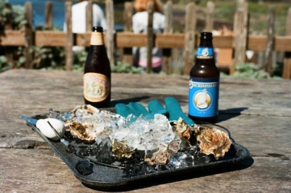 meal with oysters and beer