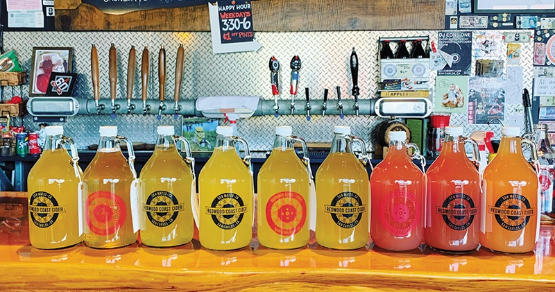 A line of cider growlers ranging form yellow to orange to bright red sitting atop a bar. There are taps and parts of a menu visible behind them.