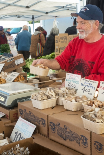 Far Wes Mushrooms at Market