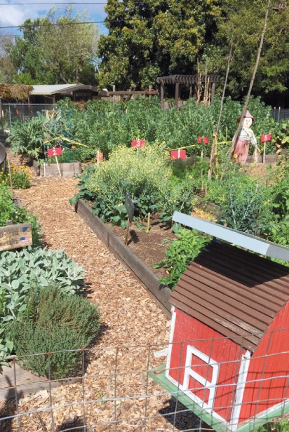 a view of the garden at Ohlone Elementary School