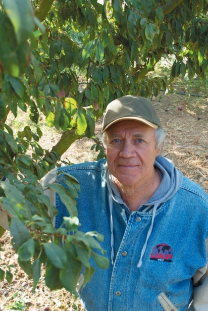 Andy Mariani of Andys Orchard