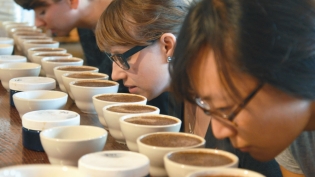Testers sniff coffee for robustness