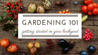 gardening 101 