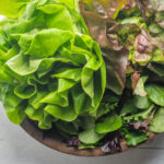 Mixed-Greens-Lettuce_PPP8477_w.jpg