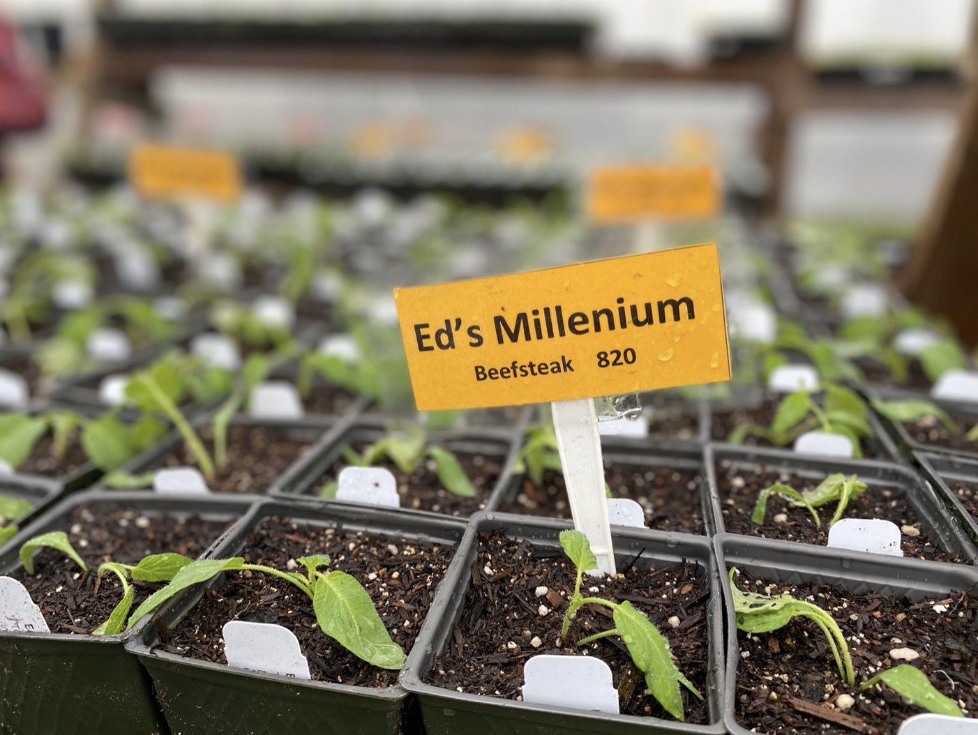 Screen Shot 2023-04-05 at 1.43.19 PM.png