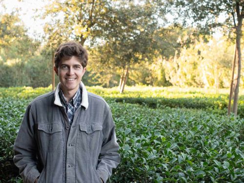 Redwood-Tea-Estate-patrick-sunbury