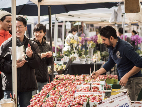 Screen Shot 2019-04-29 at 5.56.53 PM.png